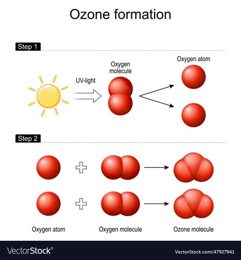 Ozone Formation In Earths Atmosphere Royalty Free Vector