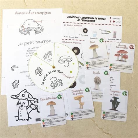 Les P Tits Ouistitis Ramassent Des Champignons Artofit
