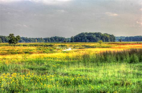 What Information You Can Expect To Find When Using The Land O Lakes Jail Inmate Search 3