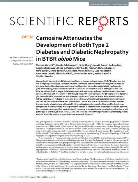 PDF Carnosine Attenuates The Development Of Both Type 2 Diabetes And