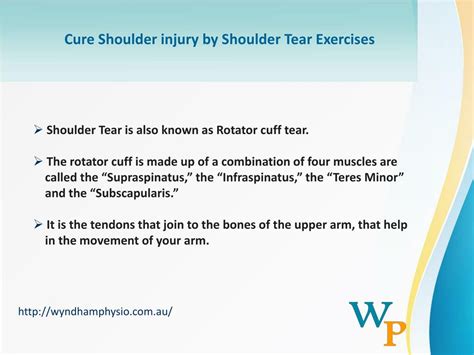 PPT - Cure Shoulder injury by Shoulder Tear Exercises PowerPoint ...