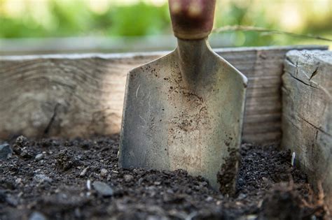 Comment Faire Du Compost Tapes Pour Bien Le R Ussir