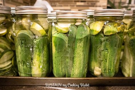 Easy Canning Pickles Recipe - Sustain My Cooking Habit