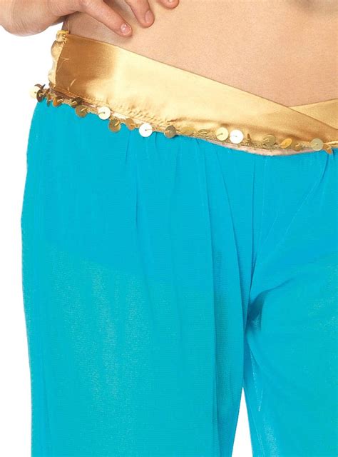 Arabian Beauty Womens Costume Womens Princess Jasmine Costume