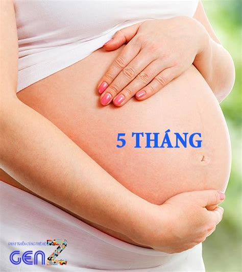 Tuyển chọn 500 hình ảnh bụng bầu 8 tháng hot nhất hiện nay Wikipedia