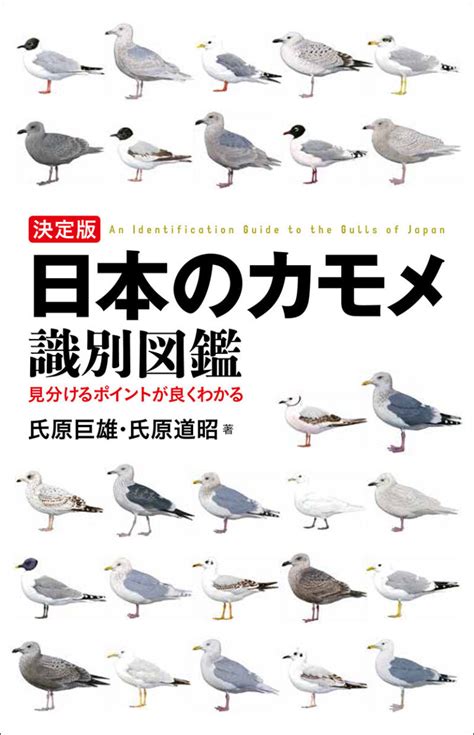 決定版 日本のカモメ識別図鑑 株式会社誠文堂新光社