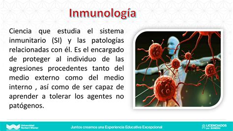 Solution Mfp Ii Clase Sistema Inmunol Gico Removed Studypool