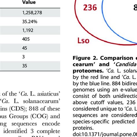 Schematic Representation Of The Candidatus Liberibacter Solanacearum