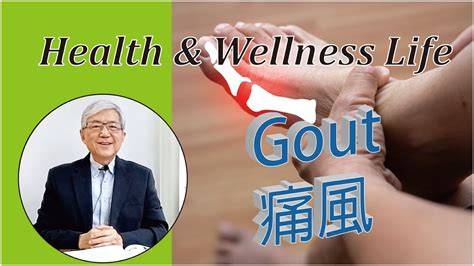 Gout I 痛風 I 痛風是什麼的痛 What Is Gout Pain 生物磁能治療 Poss Health I 磁療學 I 綠色醫療 I 尿酸 Youtube