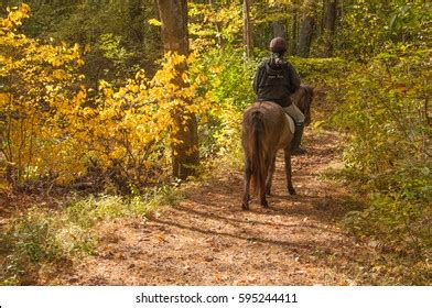 Autumn Horse Riding On Trails Woods Stock Photo (Edit Now) 595244411