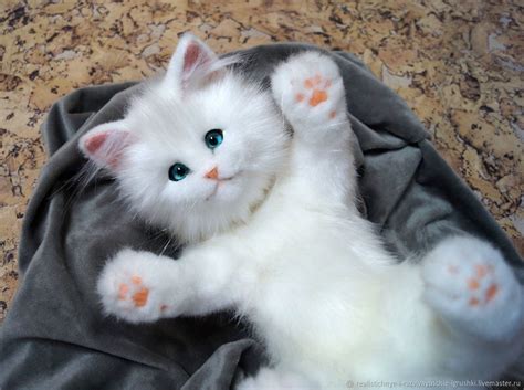 Белый котенок с голубыми глазами Реалистичная игрушка из меха в ...