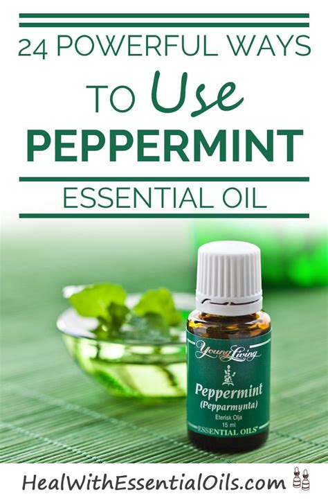 24 Powerful Ways To Use Peppermint Essential Oil Herbal Essential