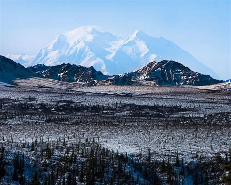 Denali Day Tour from Fairbanks | Guided Sightseeing to Denali