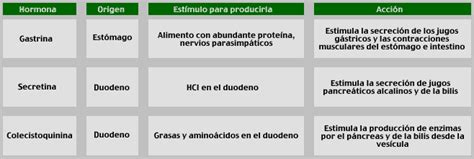 Apb Regulaci N Hormonal Y Nerviosa De La Digesti N