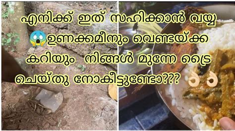 എനിക്ക് ഇത് സഹിക്കാൻ വയ്യ 😱ഉണക്കമീനും വെണ്ടയ്ക്ക കറിയും നിങ്ങൾ മുന്നേ