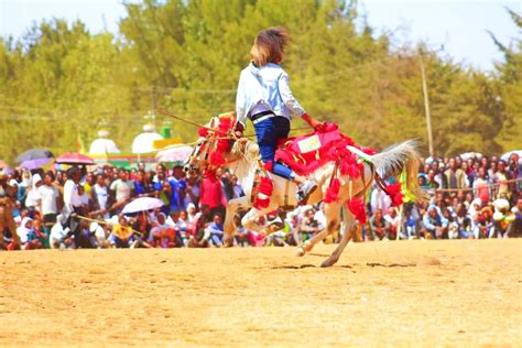 Merqorios horse galloping - Visit Amhara