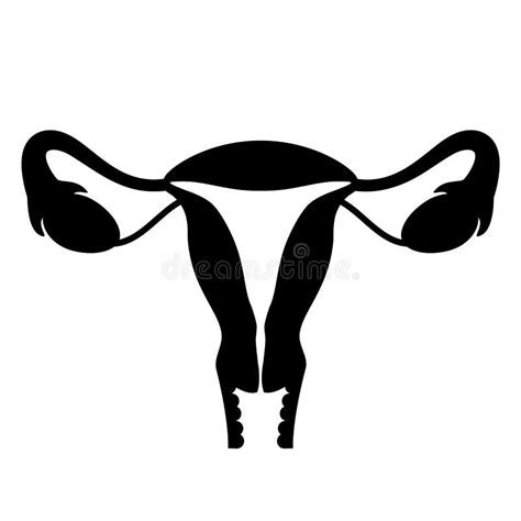 Uterus Ovary Icon Stock Vector Illustration Of Icons 173581414