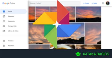 Google Fotos cómo descargar y recuperar todas tus fotos