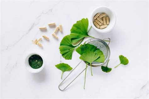 Ginkgo Biloba Propiedades Y Beneficios【1 Guía Completa】