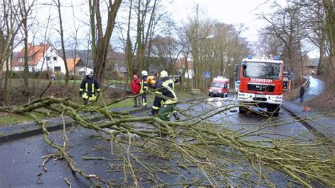 Sturm lässt Baum stürzen Feuerwehr im Einsatz