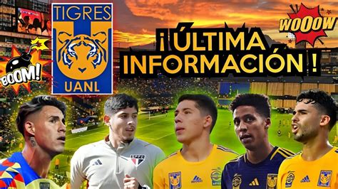 ÚLTIMAS NOTICIAS DE FICHAJES DE LOS TIGRES PARA EL CLAUSURA 2025 ALTAS