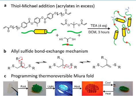 Exchangeable Liquid Crystalline Elastomers And Their Applications