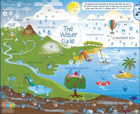 phases  water hydrologic cycle  water lhvo
