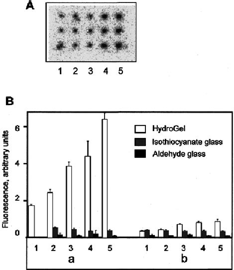 Hybridization Ligation Efficiency Of A Target With Stem Loop Dna Probes