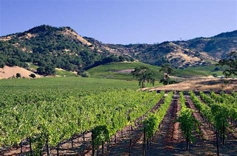 Silverado Trail | California travel, California attractions, California