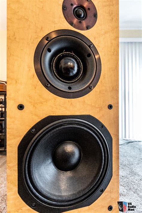 Proac D 100 Speakers BIRDSEYE MAPLE With Iso Acoustics GAIA 1 Feet