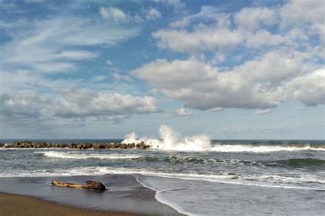 Free Images Beach Landscape Driftwood Sea Coast Ocean Horizon