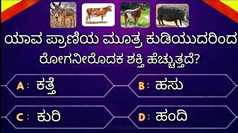 Interesting Questions In Kannada Kannada Gk Questions Video By