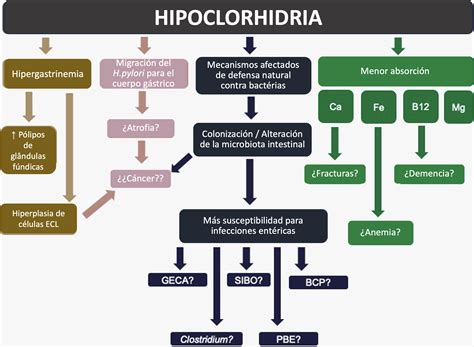 Efectos adversos asociados con el uso prolongado de inhibidores de la