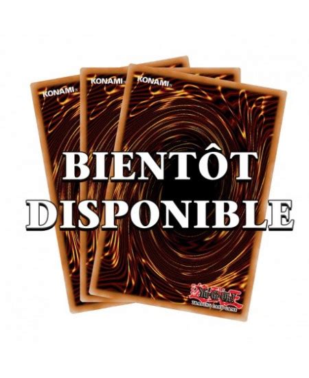 YU GI OH JCC Coffret Bat de Légende Chap 1 FR x8 22 02 Carte à