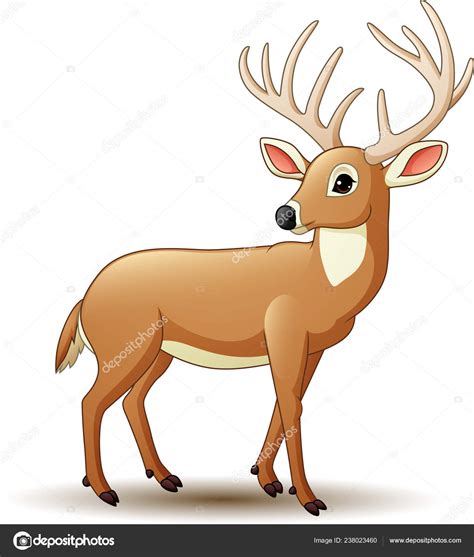 Vector Illustration Cartoon Deer Isolated White Background Stock Vector ...