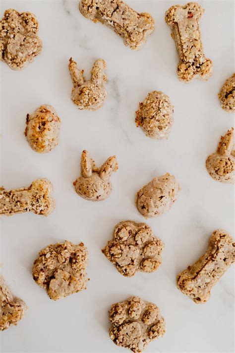 Healthy Homemade Strawberry Oatmeal Dog Treats