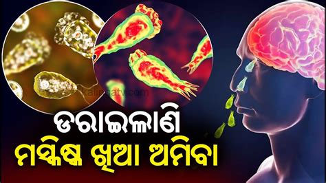 South Korea Reports First Death Linked To Brain Eating Amoeba Kalingatv Youtube