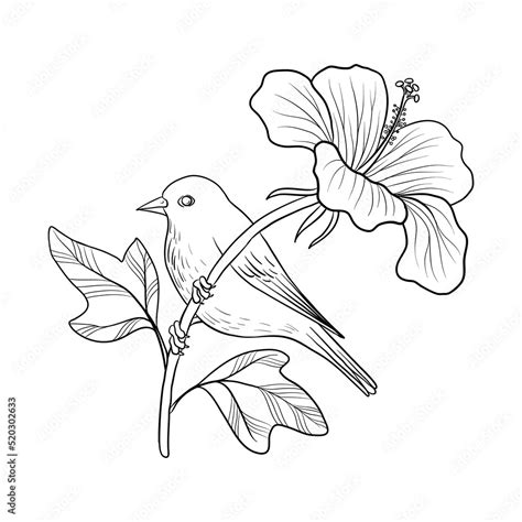 vector drawing bird at tree branch with flowers, hand drawn ...