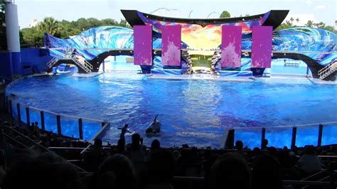 Seaworld Orlandos One Ocean Show Opening Day Full Show Youtube