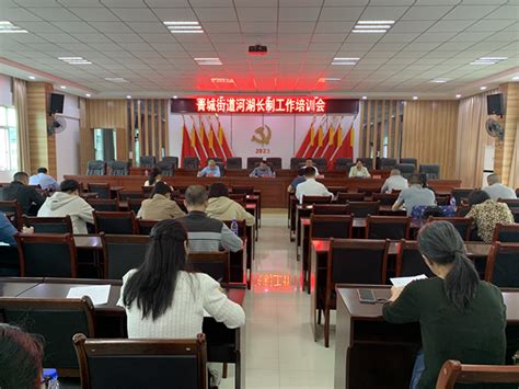 菁城街道召开第四季度河长制工作培训会 龙岩市漳平市人民政府