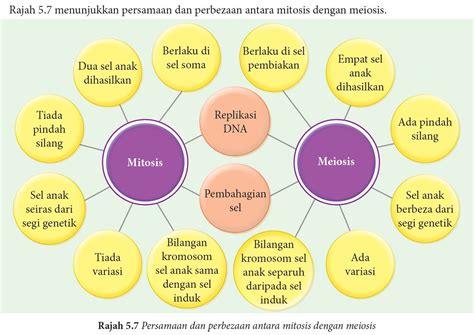 Praktis Formatif 51 Sains Tingkatan 4 Kssm Bab 5 Sains Spm