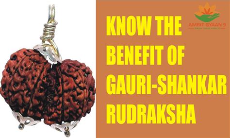 Amrit Gyaan Know The Benefit Of Gauri Shankar Rudraksha