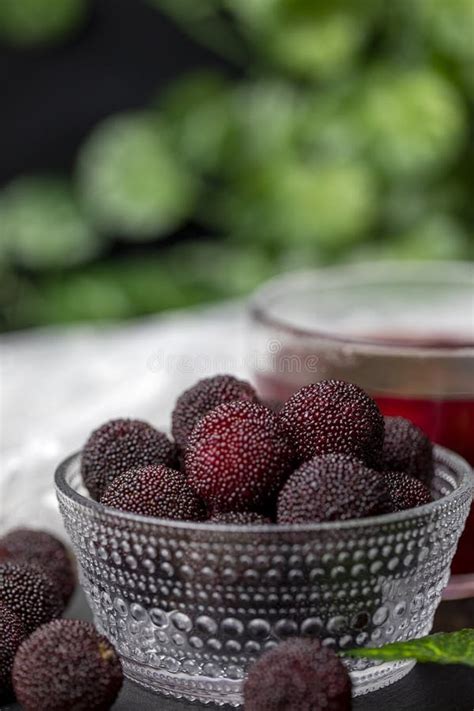 Fresh Red Bayberry And Red Bayberry Juice Stock Photo Image Of Juice