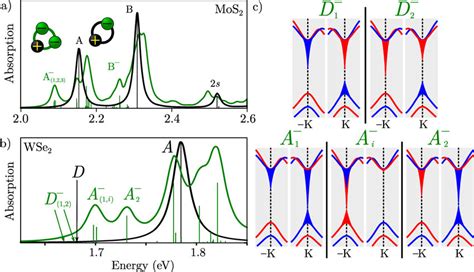 A Optical Absorption Spectrum Of Excitons Black And Negative Trions