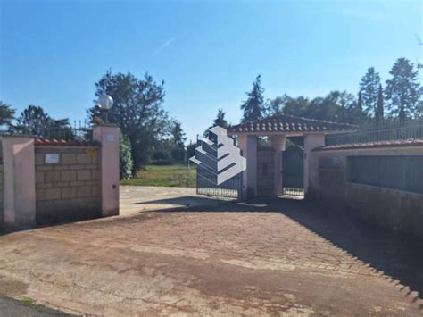 Terreno Agricolo Via Aieta Roma Rif 106640705 Immobiliare It