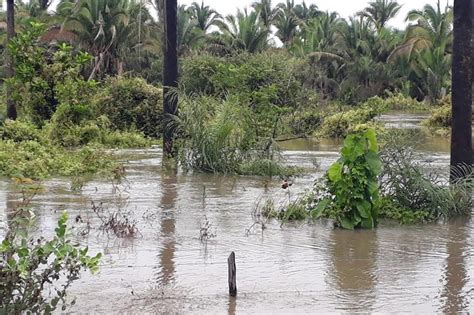 Nível do rio Marathaoan segue acima da cota de alerta em Barras