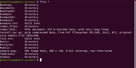 Linux File Command How To Determine File Type In Linux C Ng Ng Linux