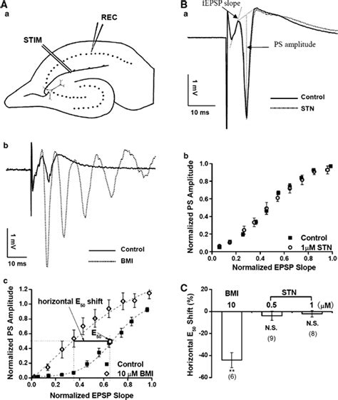 Glycine Uptake Regulates Hippocampal Network Activity Via Glycine