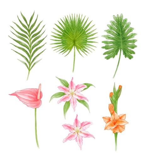 Premium Vector Set Of Tropical Leaves Watercolor