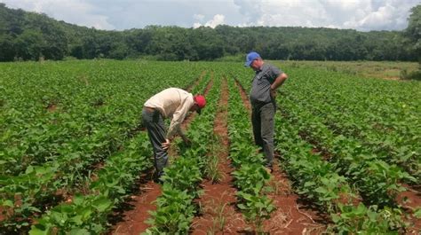 Producción agropecuaria y pesquera en Campeche Ruraltv